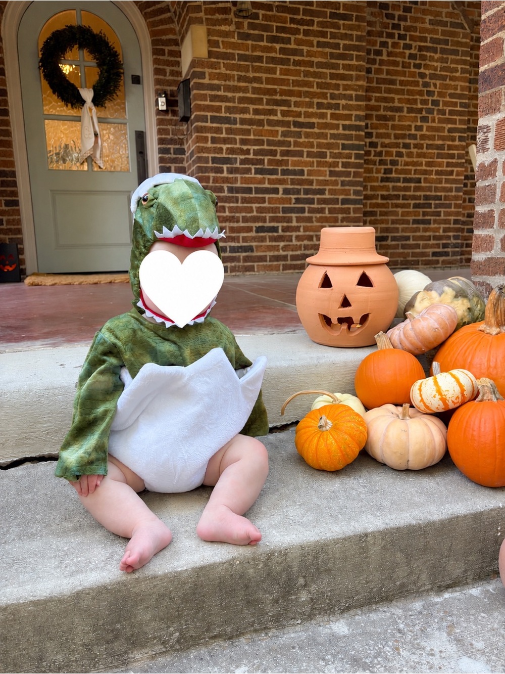 Baby Green Dinosaur Egg Halloween Costume - Pottery Barn